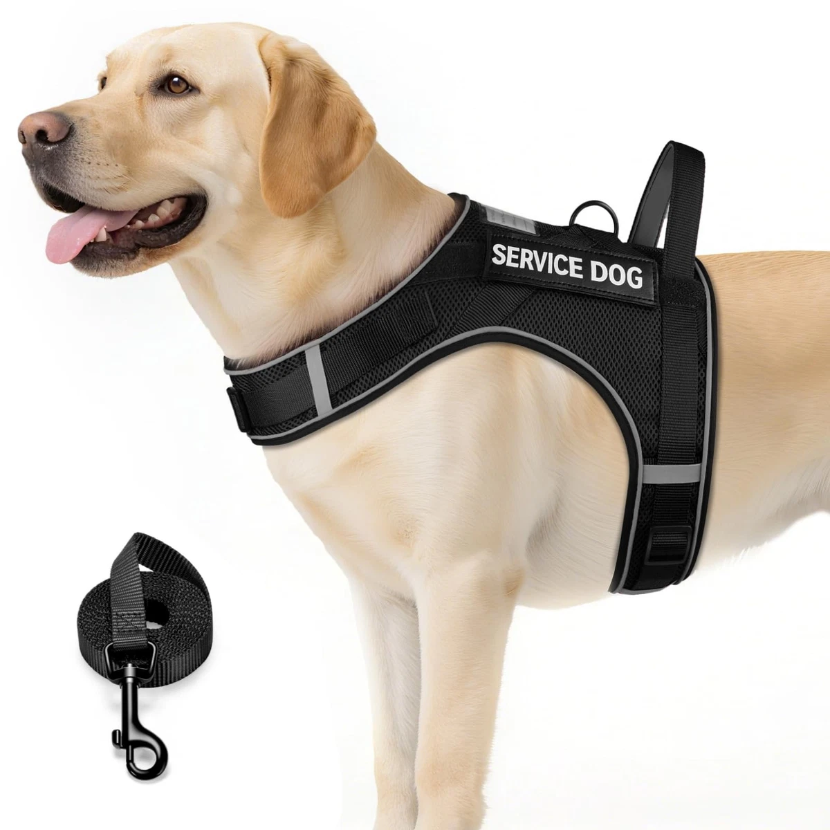 Dogline Service Dog in Training Patches for Harness and Vest, Removable 3D Rubber Patches with Hook Back for Small, Medium or Large Working Dogs, 1.5 x 4 Inches - Two Patches