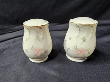 Mikasa China Remembrance Salt & Pepper Set