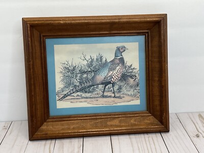 Vintage Framed Ring Neck Pheasant Gregory F Messier Wilderness Hunting Nature
