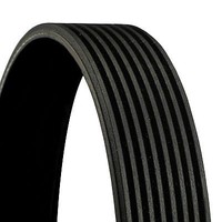 Continental Ctam Keilrippenriemen (8PK1390) FüR BMW 4 1 X6 3 2 X4 X5 X3 5 6 |
