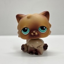 Littlest Pet Shop Persian Cat Brown #22 Aqua Eyes LPS Hasbro