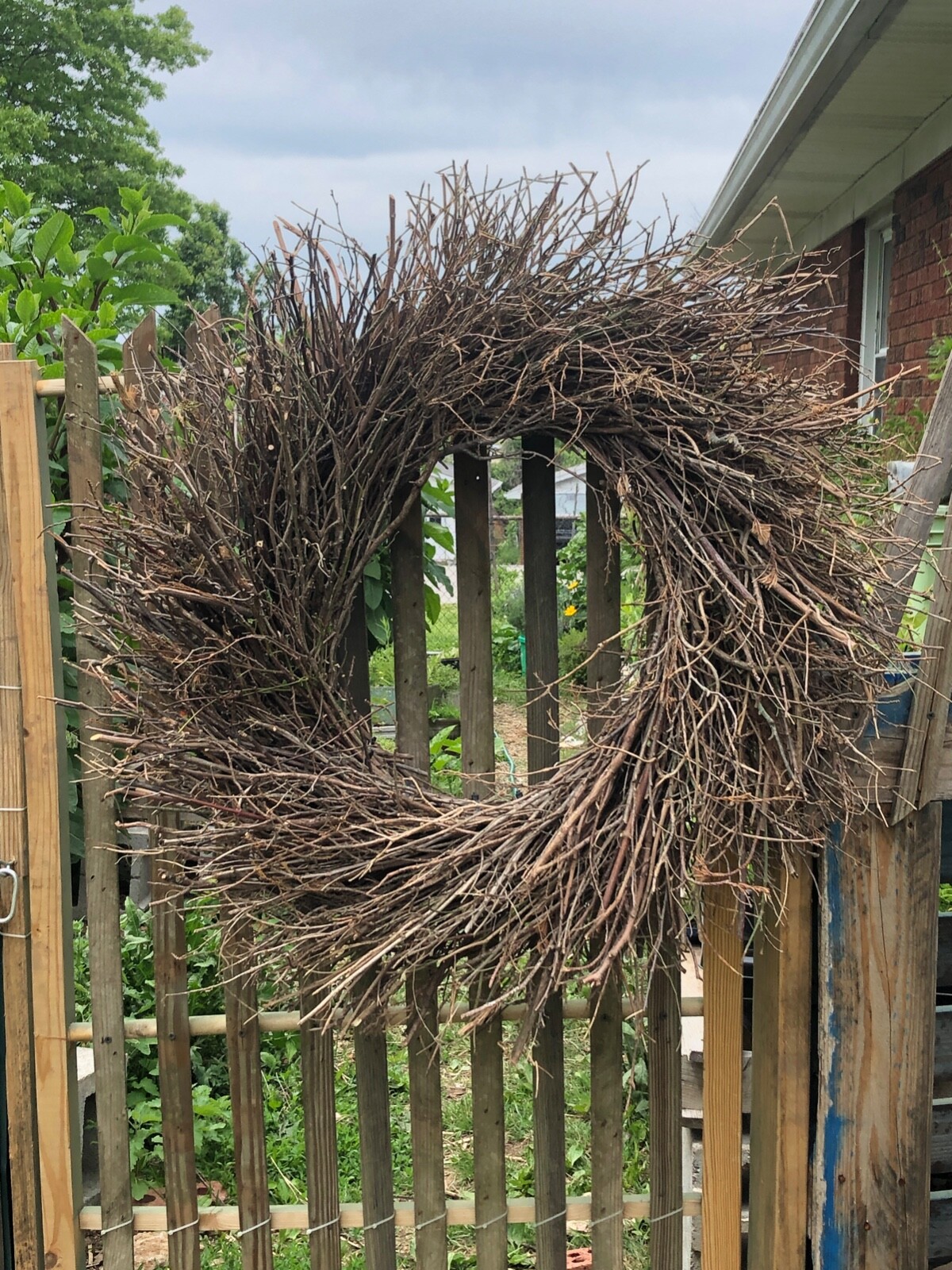 Picture 5 of 12
