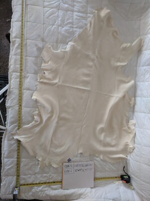 Buck Hide #6