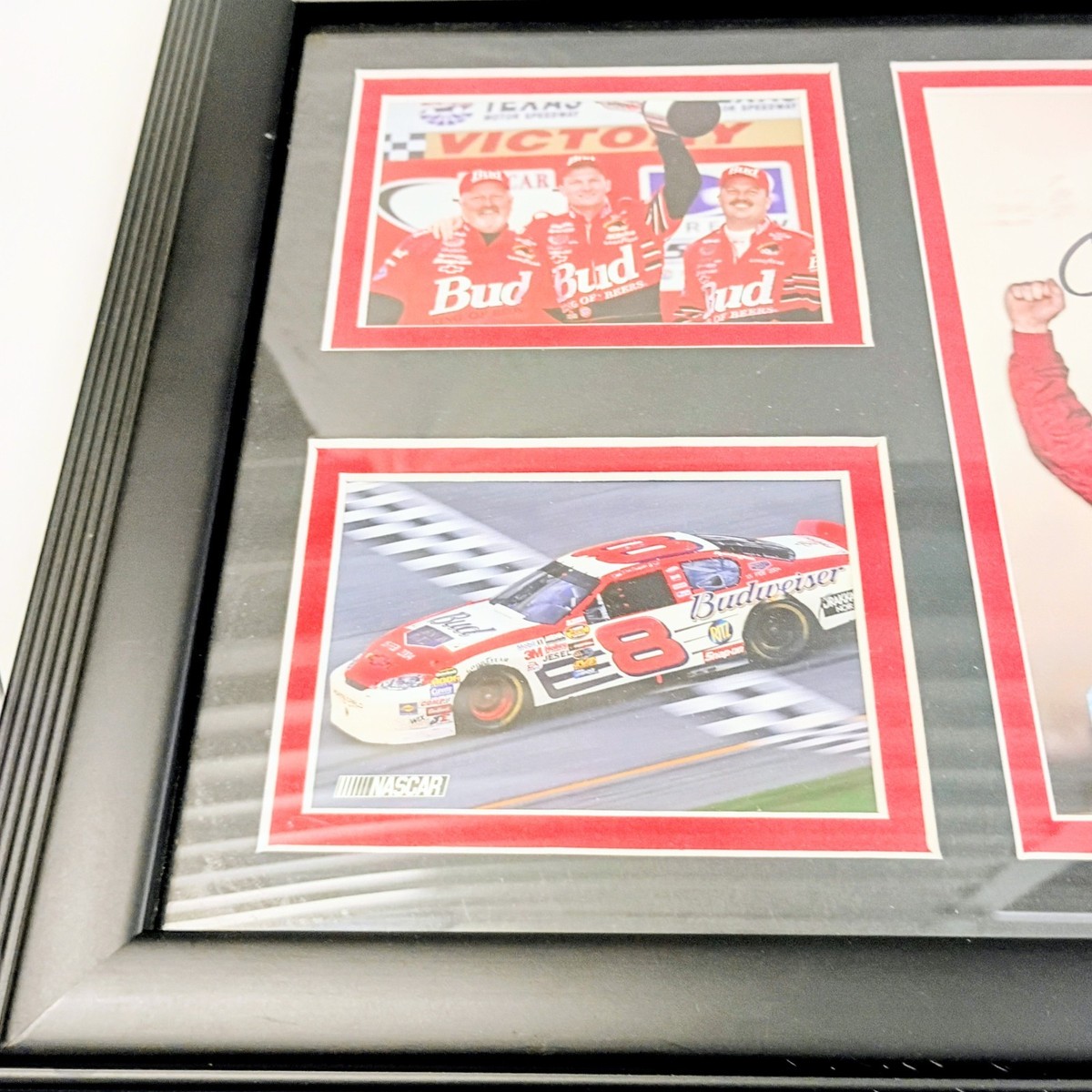Mounted Memories Dale Earnhardt Jr Autographed Signed Collage