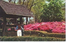 Old Vintage Azalea Garden at Kennywood Park, Pittsburgh, Pennsylvania Postcard