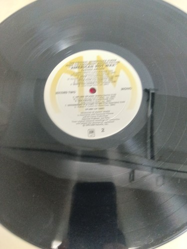 American Hot Wax, Soundtrack, Double Vinyl LP, 1978, SP-6500, A&M Records - Picture 7 of 15