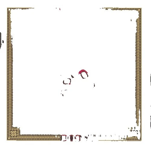 Rock Gov 't Mule Music CDs