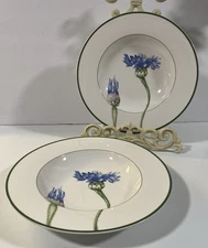 Set Of 2 Villeroy & Boch Flora Country Collection Deep Soup, Pasta Plate 9 1/2”