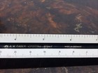 A W Faber Castell Number 873C/P Made In Germany Triangular Ruler — photo 4