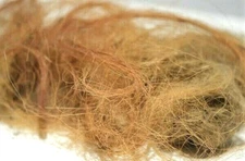 WOOLLY MAMMOTH REAL FUR HAIR WOOLY PERMAFROST RARE LARGE WOOL EXTINCT FOSSIL