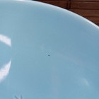 Bild 8 von 11
