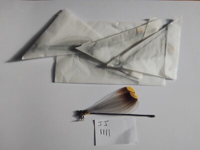 5 DAMSEFLYS ssp. data peru.   SCHNÄPPCHEN! Siehe Foto