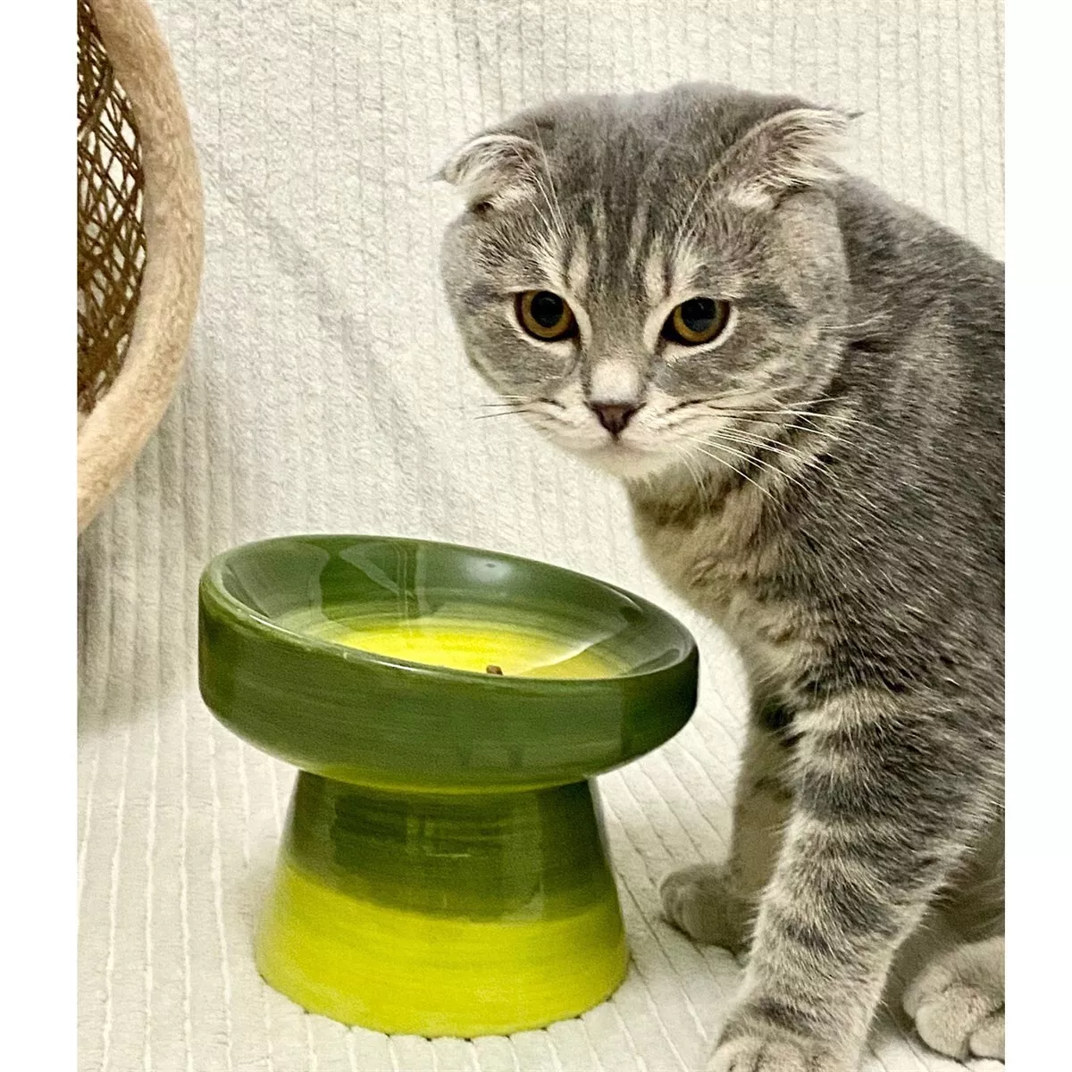 Green Ceramic Bowl Cat Feeder, Cat Bowl, Cat Food Bowl, Cat Bowl Stand