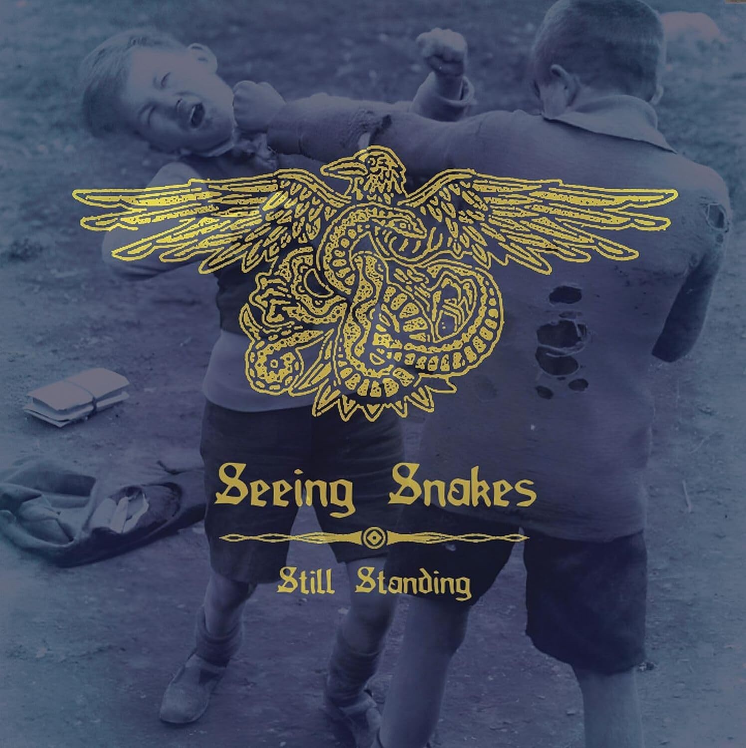 Альбом Seeing Snakes Still Standing (винил) 12 (ИМПОРТИРОВАН из Великобритании)