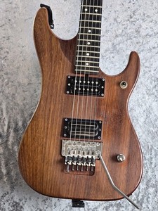 Washburn N4 | eBay