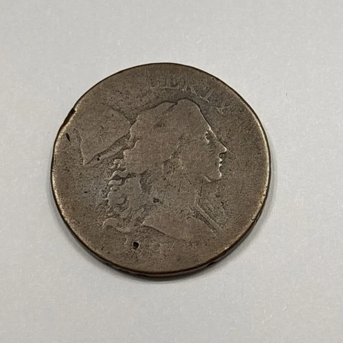 Photo of a Large Cent coin from an eBay sale