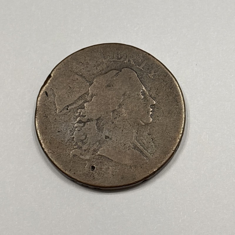 1794 Large Cent Apple Cheek Variety S-24 Smooth Warm Brown Surfaces
