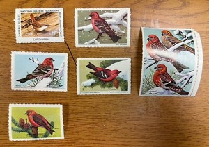 Vintage 1929 - 69 National Wildlife Federation Bird Stamps Lot Of 6 