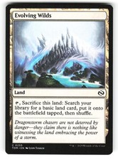 Evolving Wilds #255 (NM) (C) (TDM) Magic MTG