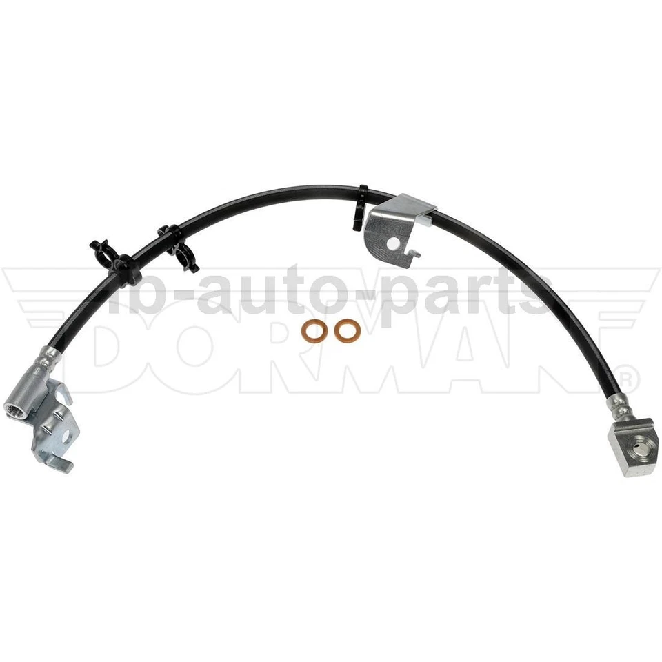 Manguera de freno delantera 2 piezas para Ford Expedition 2002-2006 5,4 L Foto 4 de 4