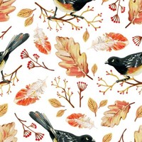 20 Servietten Autumn Birds VöGel Federn Tiere Herbst EichenbläTter Deko 33X33Cm
