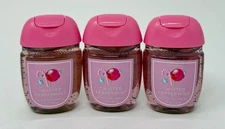 3 BATH BODY WORKS TWISTED PEPPERMINT POCKETBAC ANTI BACTERIAL HAND GEL SANITIZER