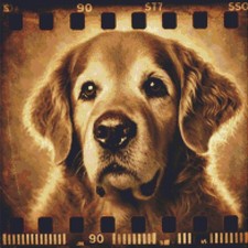 Golden Retriever Puppy Dog Echoes on Film Counted Cross Stitch