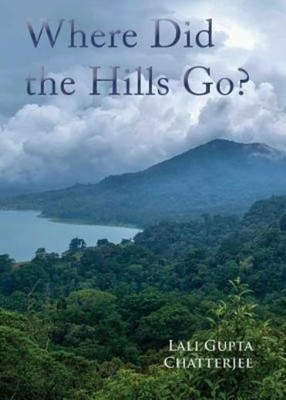 Where Did The Hills Go
