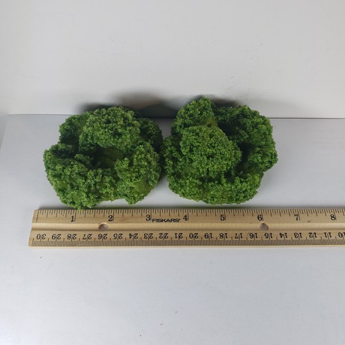 2 Nasco Life Form Replica Faux Food Broccoli Display Prop Nutrition | eBay