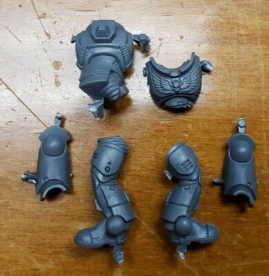x10 Primaris intercessors Plastique Warhammer 40K | P-00MD1