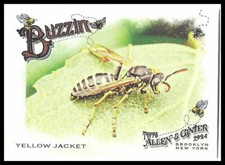 Yellow Jacket 2024 Topps Allen & Ginter Buzzin' #BUZ13