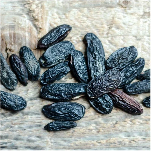 TONKA BEAN 40g - 480g  DYPTERIX ODORATA - WHOLE AROMATIC SMOKING GOURMET WICCAN