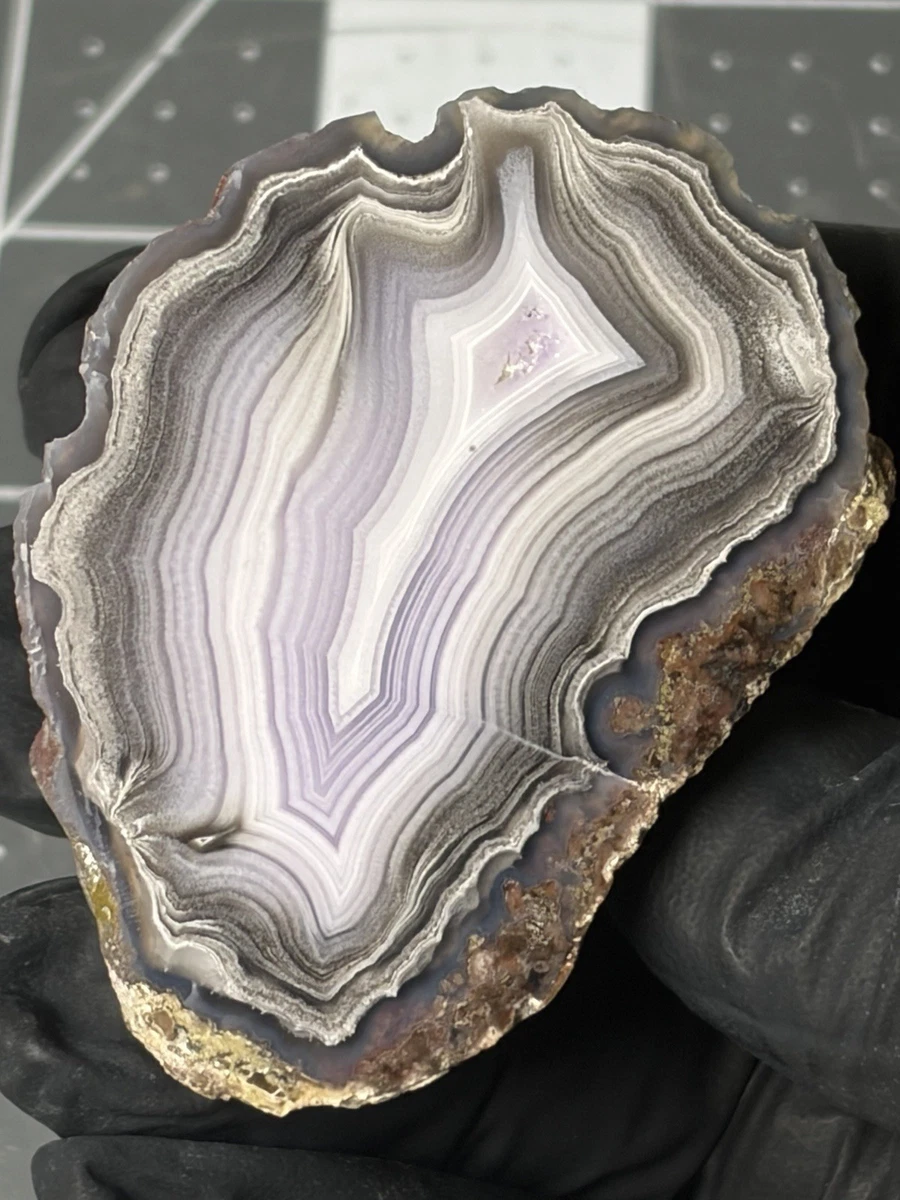 Laguna Agate for sale | eBay