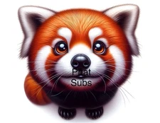Sublimation Print Red Panda Ready to Press Heat Transfer