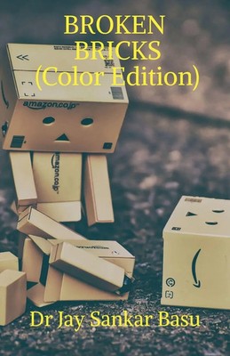 Jay | BROKEN BRICKS (Color edition) | Taschenbuch | Englisch (2020)