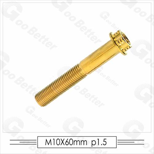 M10 Titan Flanschkopf T50 Torx Schraube Doppelantrieb Gold 1,25/1,5 mm Gewinde - Bild 16 von 30