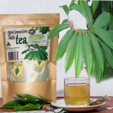 Costus Speciosus Tea Insulin Leaves Thebu Leaf Organic Igneus Bags Ceylon Herbal