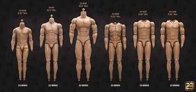 23Toys BD001/2/3/4/5/6 1/6 Male Action Figure Body for 12'' Hot Toy Phicen Head