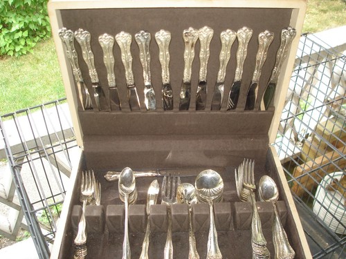 81 Piece National Double Tested Silver Plate Queen Elizabeth Flatware Service 13
