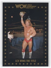 1991 Championship Marketing WCW Lex Wins the Title #94