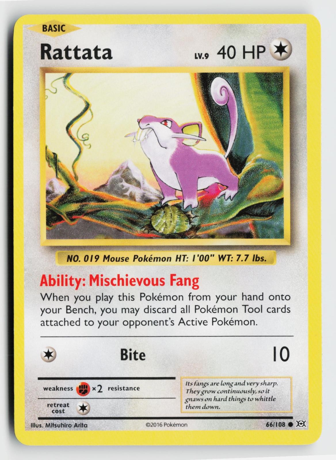 Rattata 66/108 Common Evolutions Pokemon Near Mint