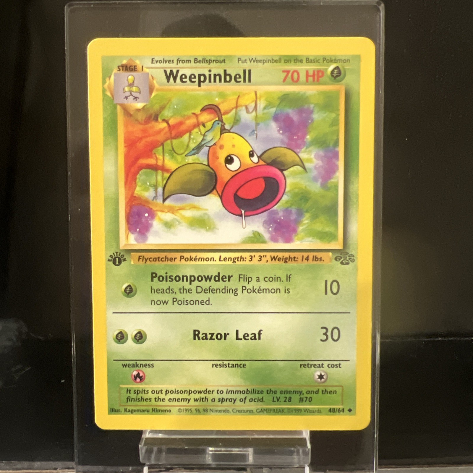 Pokemon TCG Weepinbell 48/64 1st Edition Uncommon Jungle