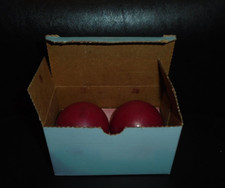 NIB OF 4 PARTYLITE CRANBERRY AROMA MELTS #Z2423