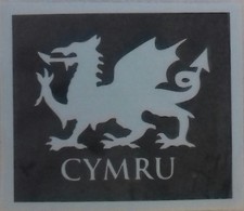  Welsh Dragon with Cymru underneath stencil for etching glass craft gift   Wales