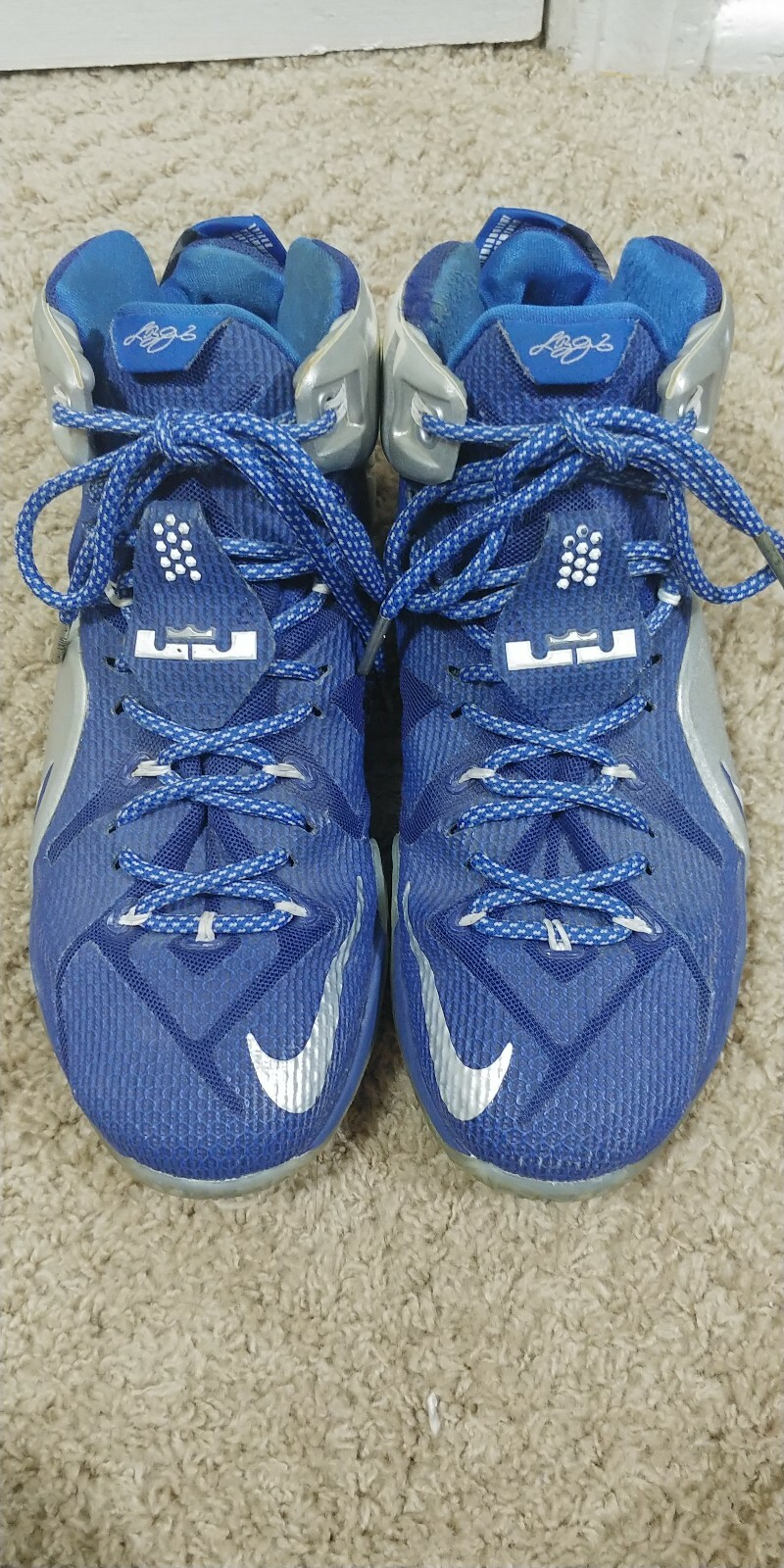 lebron 12 blue and white