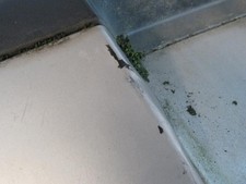 Pare-choc arrière Seat CORDOBA