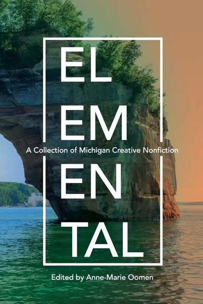 Anne-Marie Oomen | Elemental | Taschenbuch | Englisch (2018) | EAN 9780814345672-image