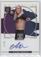 2023 Impeccable WWE Watercolor Signatures Silver 11/25 Elton Prince Auto v1x