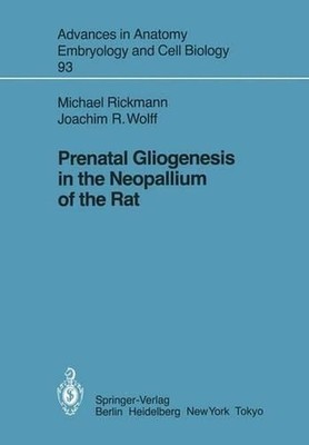 Prenatal Gliogenesis in the Neopallium of the Rat by Michael Rickmann (English)