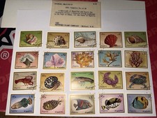 Fujeira 1972 Fish & Marine Life CTO Complete Set of 20 Stamps - Shellfish, Coral